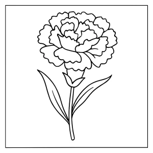 Karafiát omalovánka – coloring page s detailom kvetu na vyfarbenie