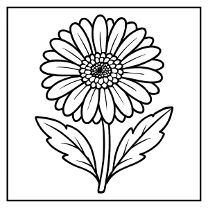 Gerbera flower coloring page printable for kids and adults