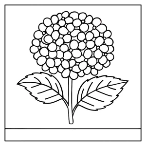 Page de coloriage hortensia à imprimer gratuitement, dessin de fleurs à colorier pour enfants et adultes