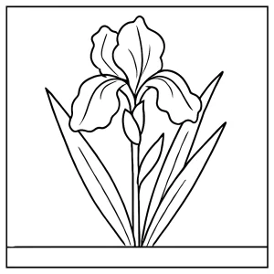Página para colorear de iris para imprimir gratis, dibujo de flor de iris en línea listo para colorear