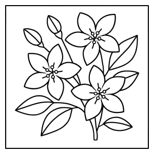 page de coloriage de jasmin à imprimer, illustration florale à colorier pour enfants