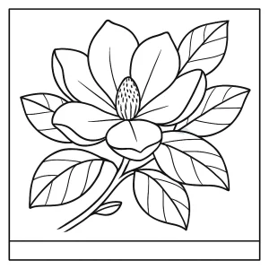 Página para colorear de una magnolia, ilustración imprimible gratis para niños y adultos.