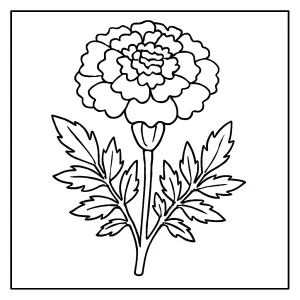 Página para colorear de caléndula detallada lista para imprimir y colorear