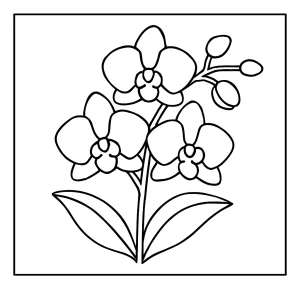 Página para colorear de orquídea elegante para imprimir y colorear gratis