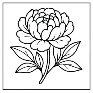 Page de coloriage pivoine à imprimer, illustration florale gratuite pour enfants et adultes