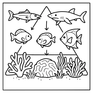 Page de coloriage gratuite représentant la pyramide alimentaire d’un récif corallien, avec espèces marines et flèches à colorier