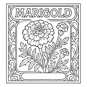 Jugendstil Ringelblume Poster Malvorlage kostenlose coloring page zum Ausmalen
