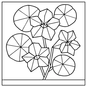 Lichořeřišnice origami koláž omalovánka – kreativní coloring page zdarma ke stažení a tisku pro děti